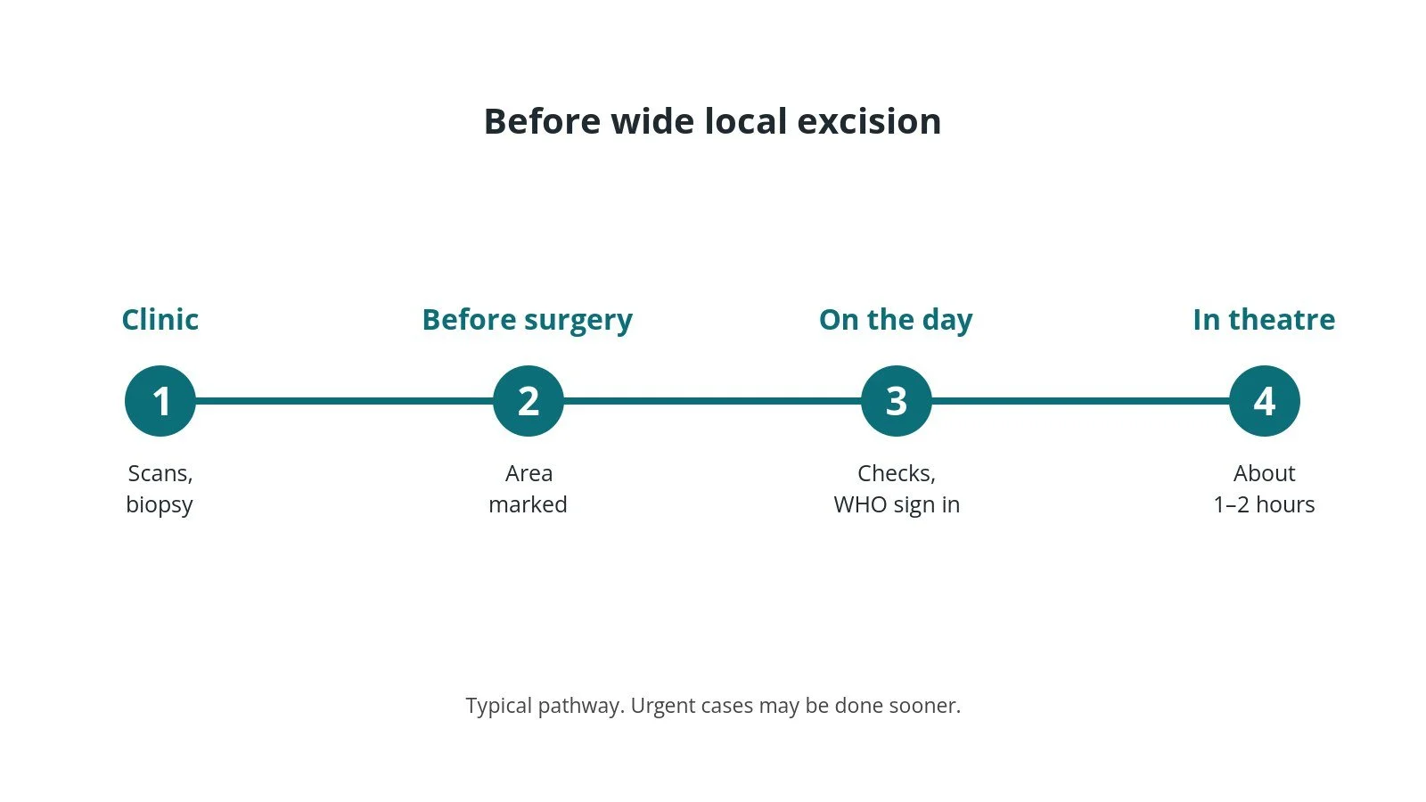 Timeline of the usual steps before wide local excision: Clinic: Scans, biopsy, Before surgery: Area marked, On the day: Checks, WHO sign in, In theatre: About 1–2 hours