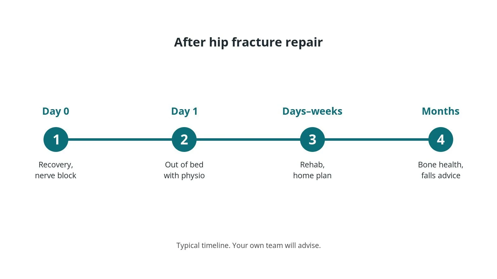 Recovery timeline after hip fracture repair: Day 0: Recovery, nerve block, Day 1: Out of bed with physio, Days–weeks: Rehab, home plan, Months: Bone health, falls advice