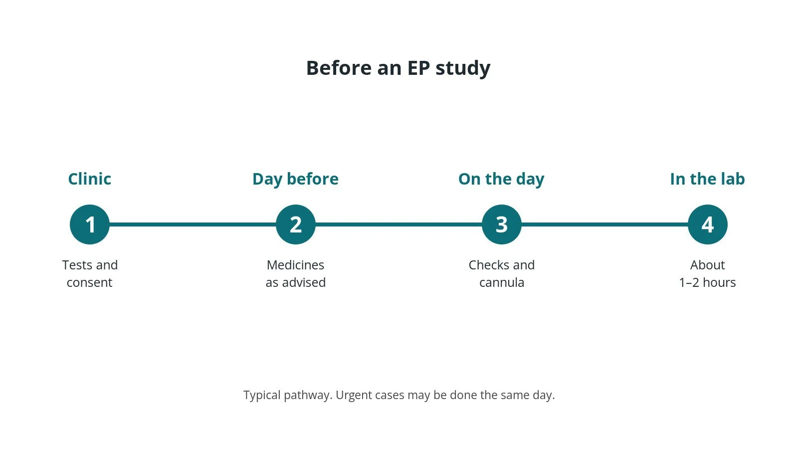 Timeline of the usual steps before an EP study: clinic tests and consent, medicine advice, checks on the day, and the procedure