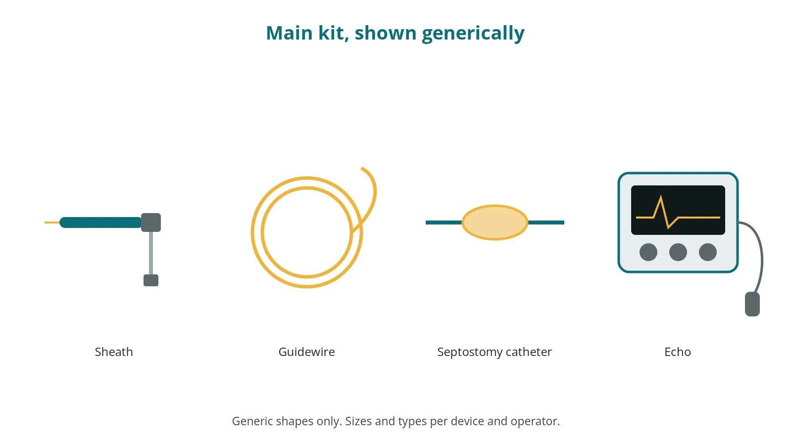 Generic drawings of the main kit: sheath, guidewire, septostomy catheter, echo