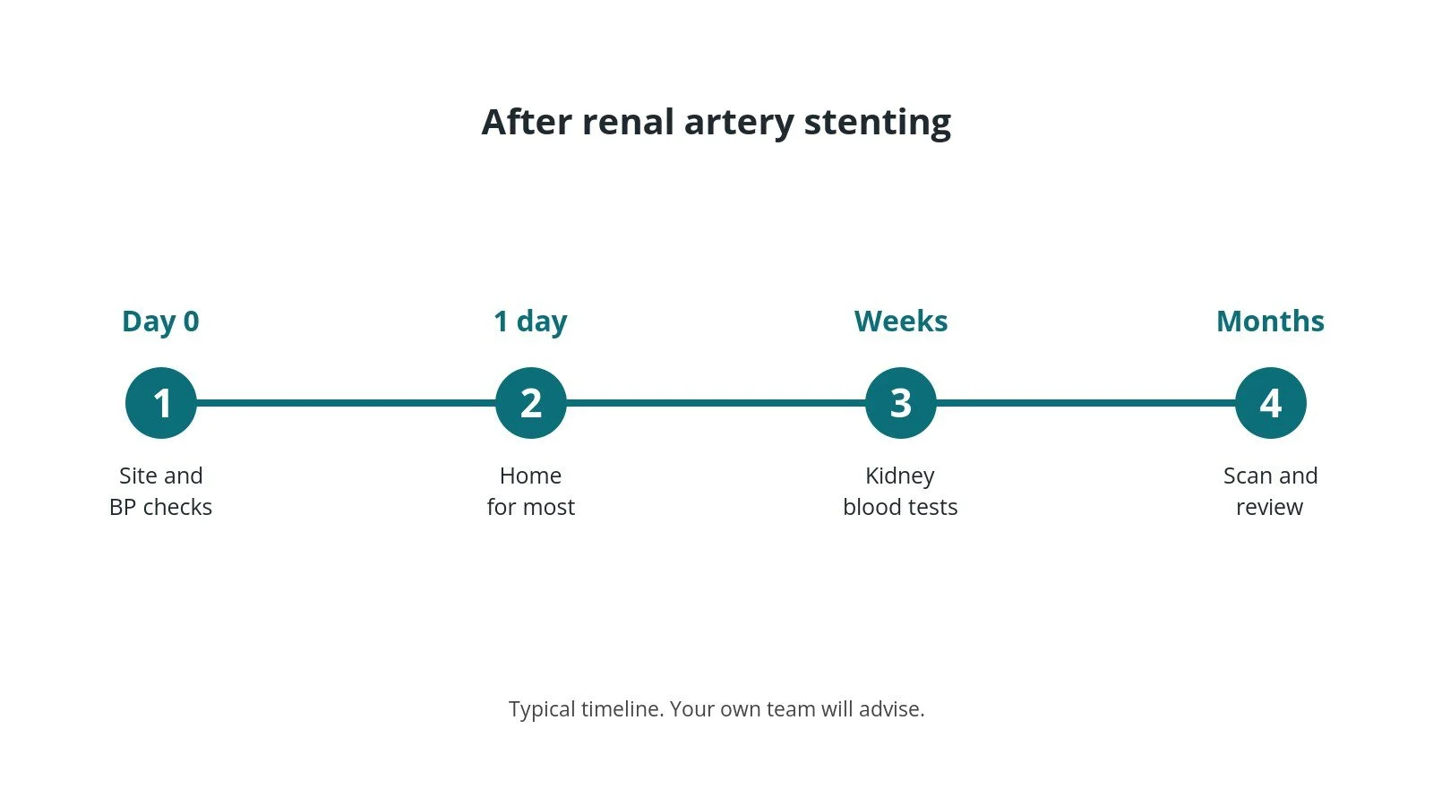 Recovery timeline after renal artery stenting: Day 0: Site and BP checks, 1 day: Home for most, Weeks: Kidney blood tests, Months: Scan and review