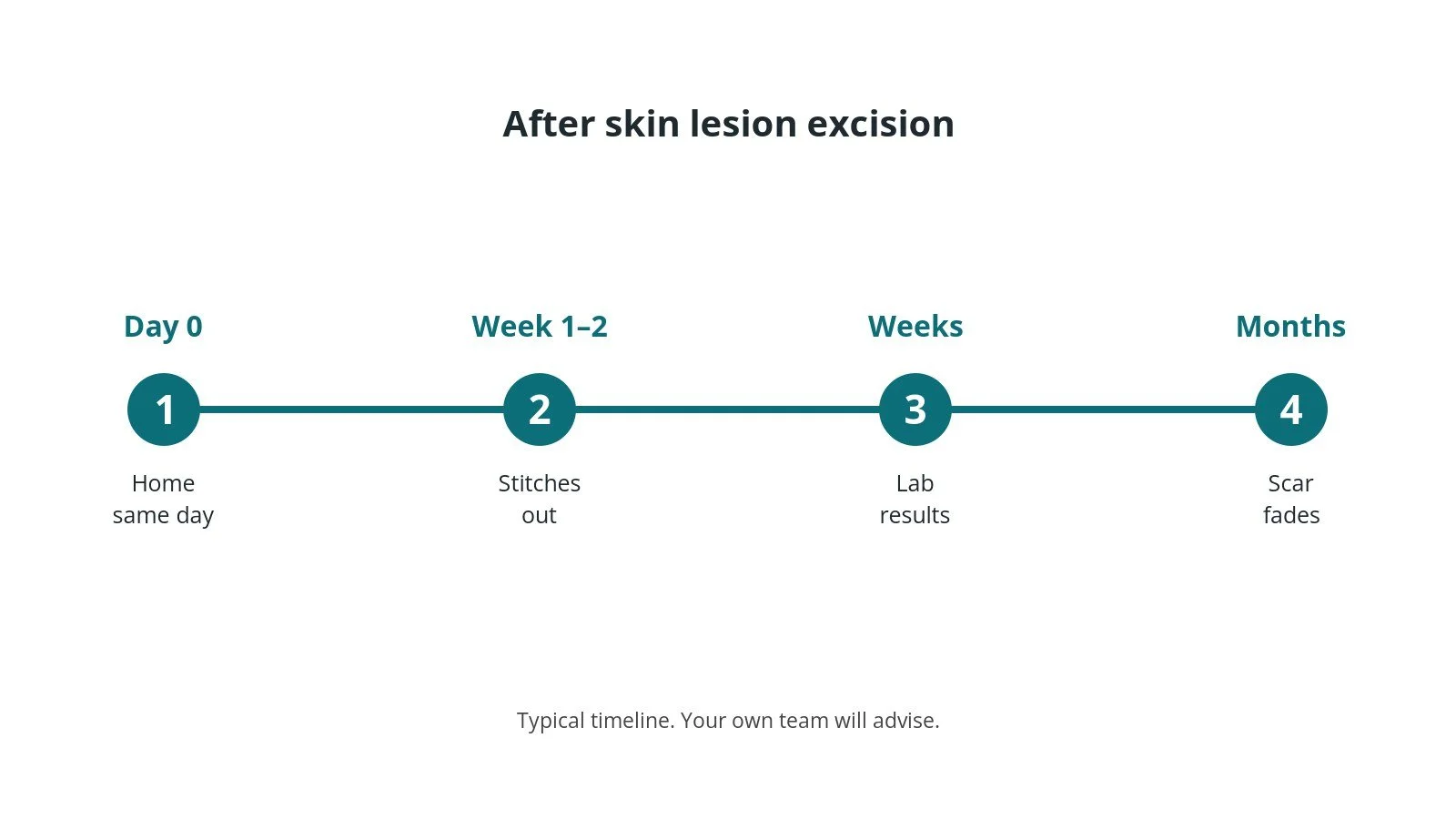 Recovery timeline after skin lesion excision: Day 0: Home same day, Week 1–2: Stitches out, Weeks: Lab results, Months: Scar fades