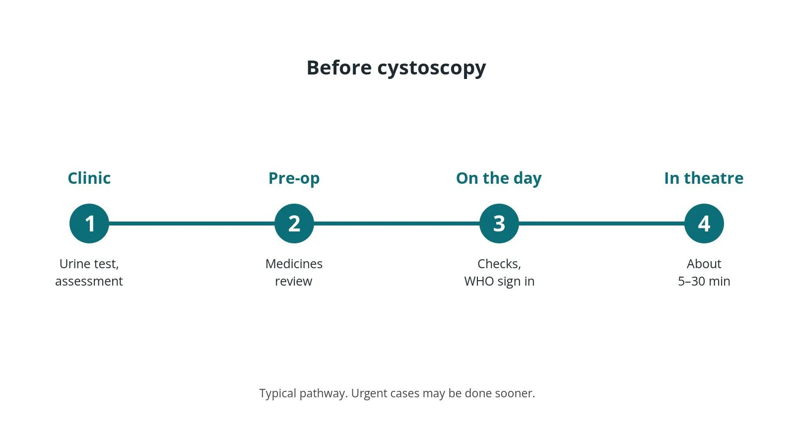 Timeline of the usual steps before cystoscopy: Clinic: Urine test, assessment, Pre-op: Medicines review, On the day: Checks, WHO sign in, In theatre: About 5–30 min