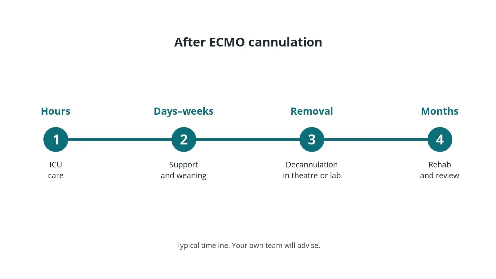 Recovery timeline after ECMO cannulation: Hours: ICU care, Days–weeks: Support and weaning, Removal: Decannulation in theatre or lab, Months: Rehab and review