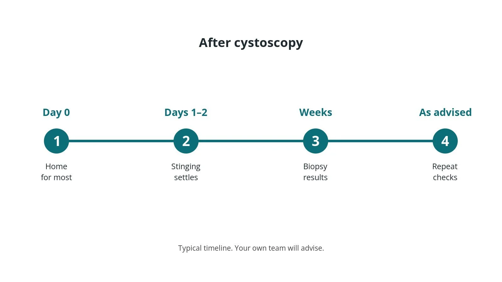 Recovery timeline after cystoscopy: Day 0: Home for most, Days 1–2: Stinging settles, Weeks: Biopsy results, As advised: Repeat checks