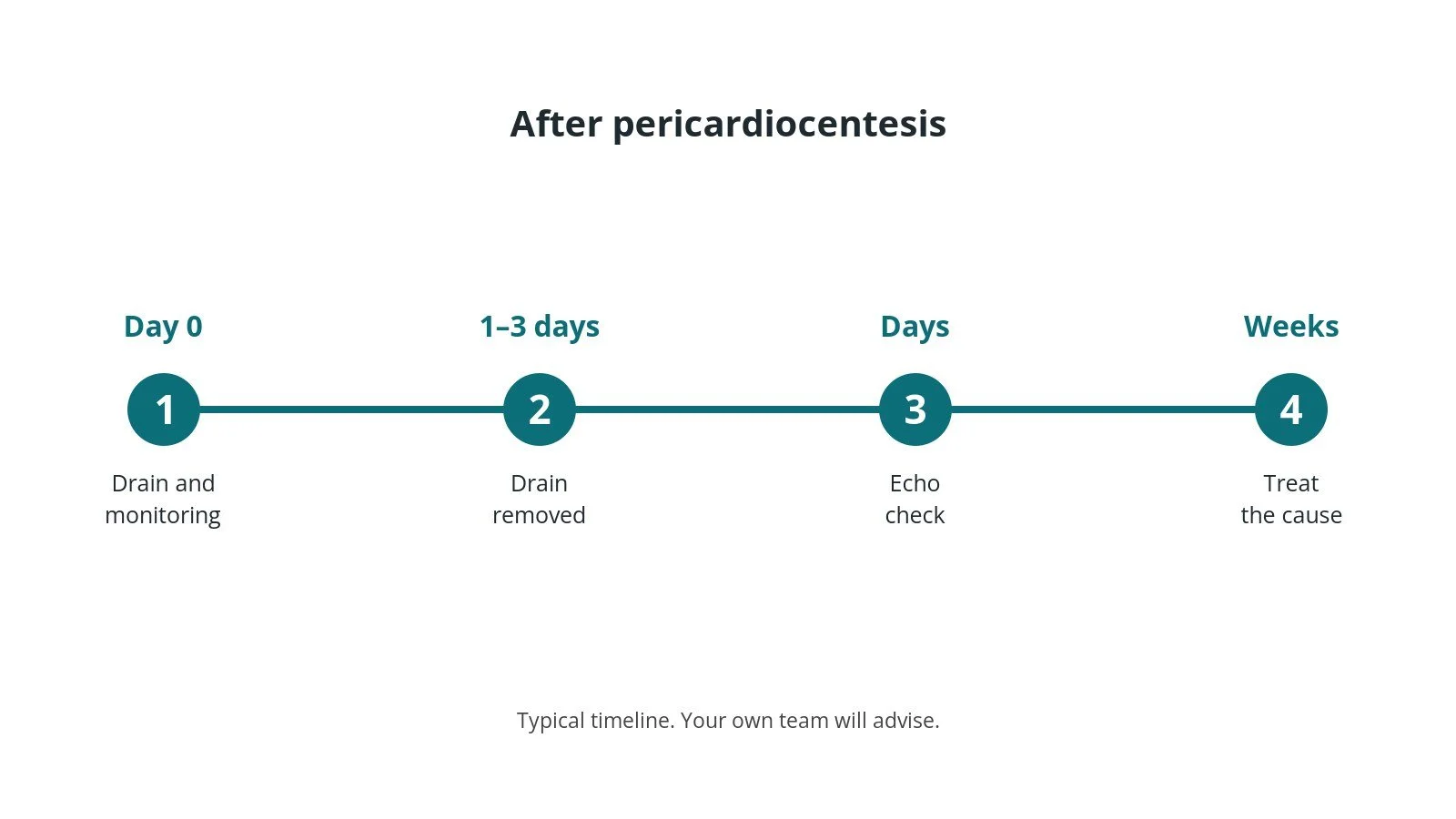 Recovery timeline after pericardiocentesis: Day 0: Drain and monitoring, 1–3 days: Drain removed, Days: Echo check, Weeks: Treat the cause
