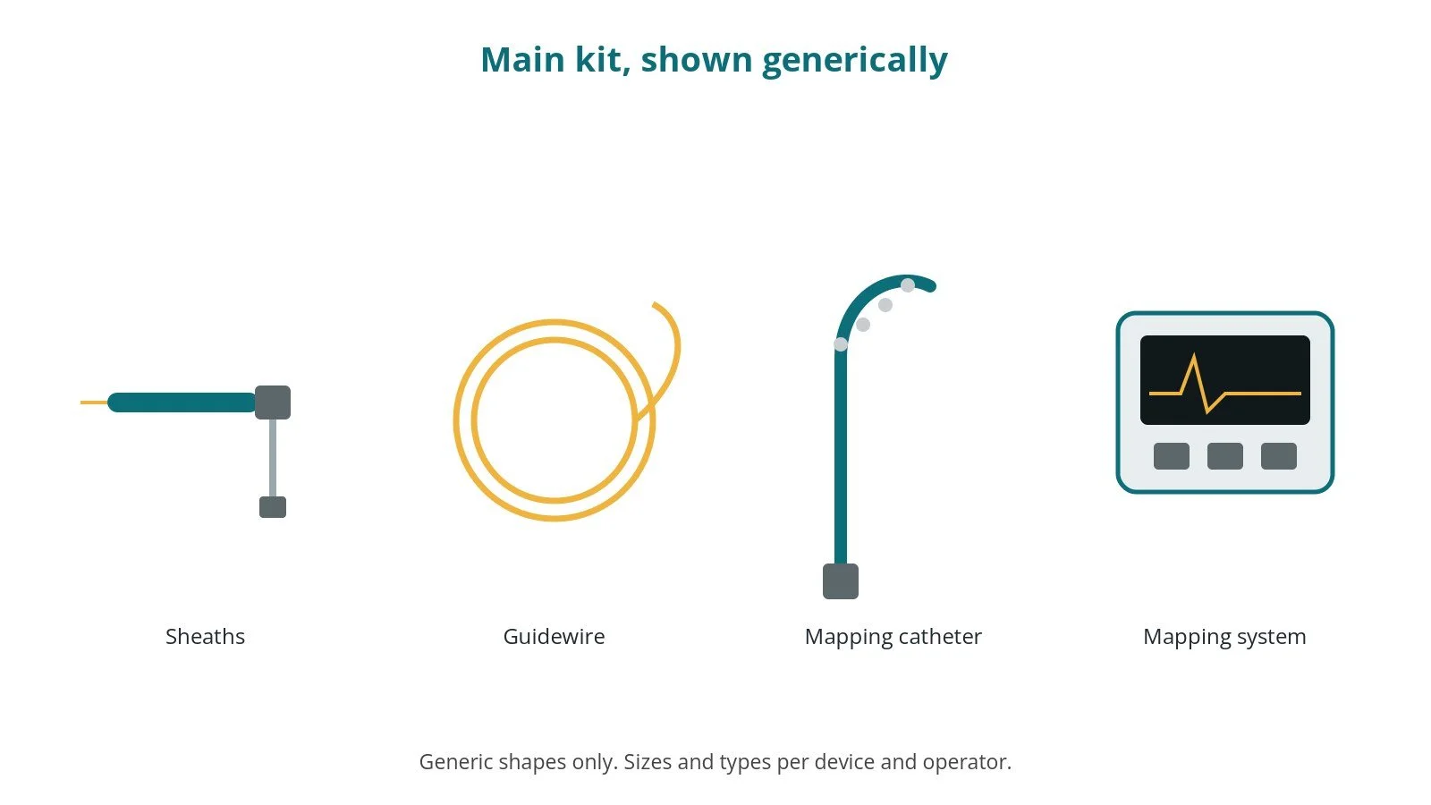 Generic drawings of the main kit: sheaths, guidewire, mapping catheter, mapping system