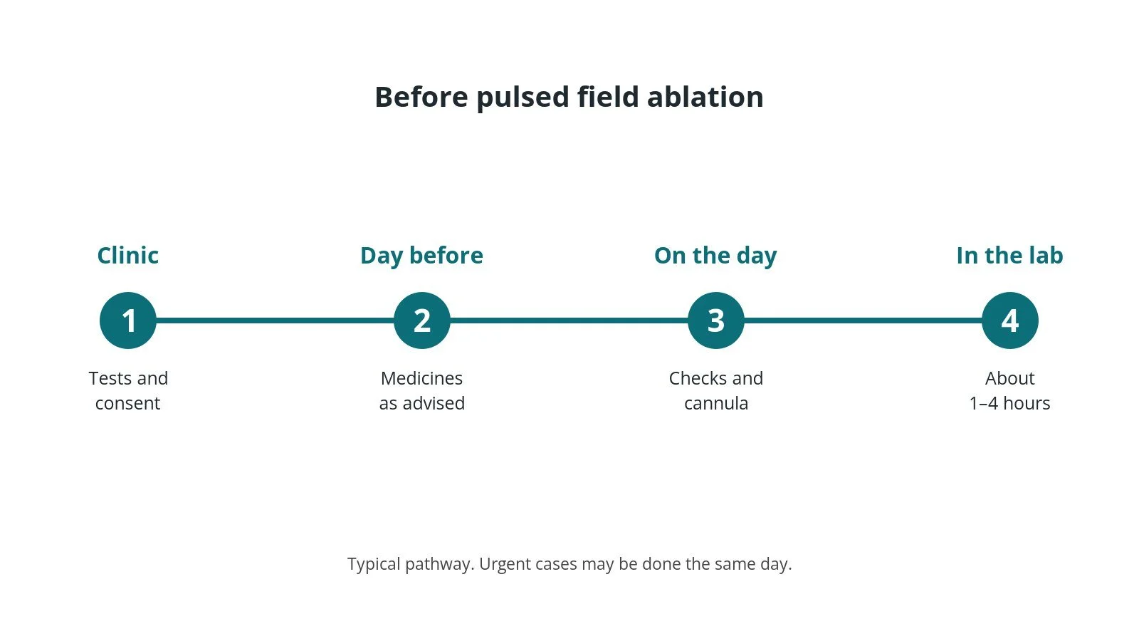 Timeline of the usual steps before pulsed field ablation: clinic tests and consent, medicine advice, checks on the day, and the procedure