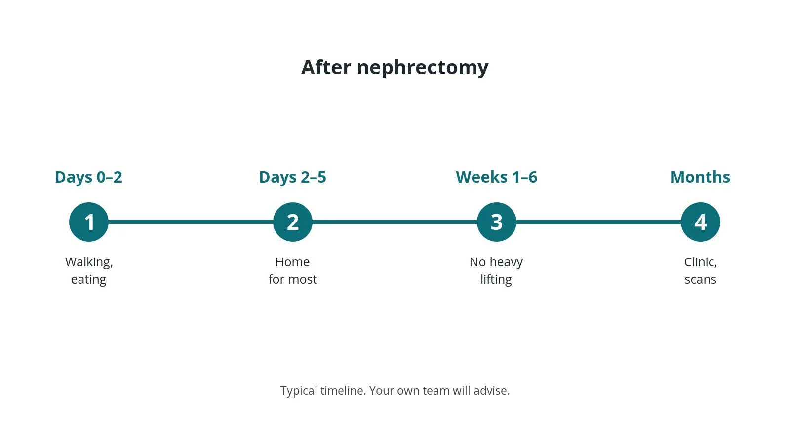 Recovery timeline after nephrectomy: Days 0–2: Walking, eating, Days 2–5: Home for most, Weeks 1–6: No heavy lifting, Months: Clinic, scans