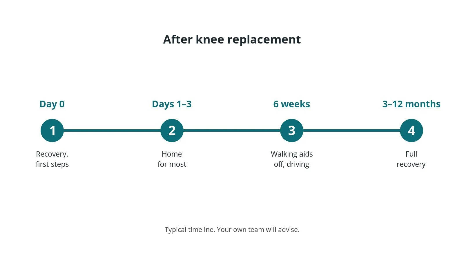 Recovery timeline after knee replacement: Day 0: Recovery, first steps, Days 1–3: Home for most, 6 weeks: Walking aids off, driving, 3–12 months: Full recovery