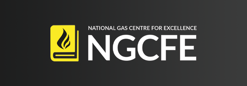 National Gas Centre for Excellence