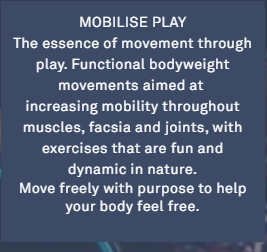 MobilisePlayDescription.PNG