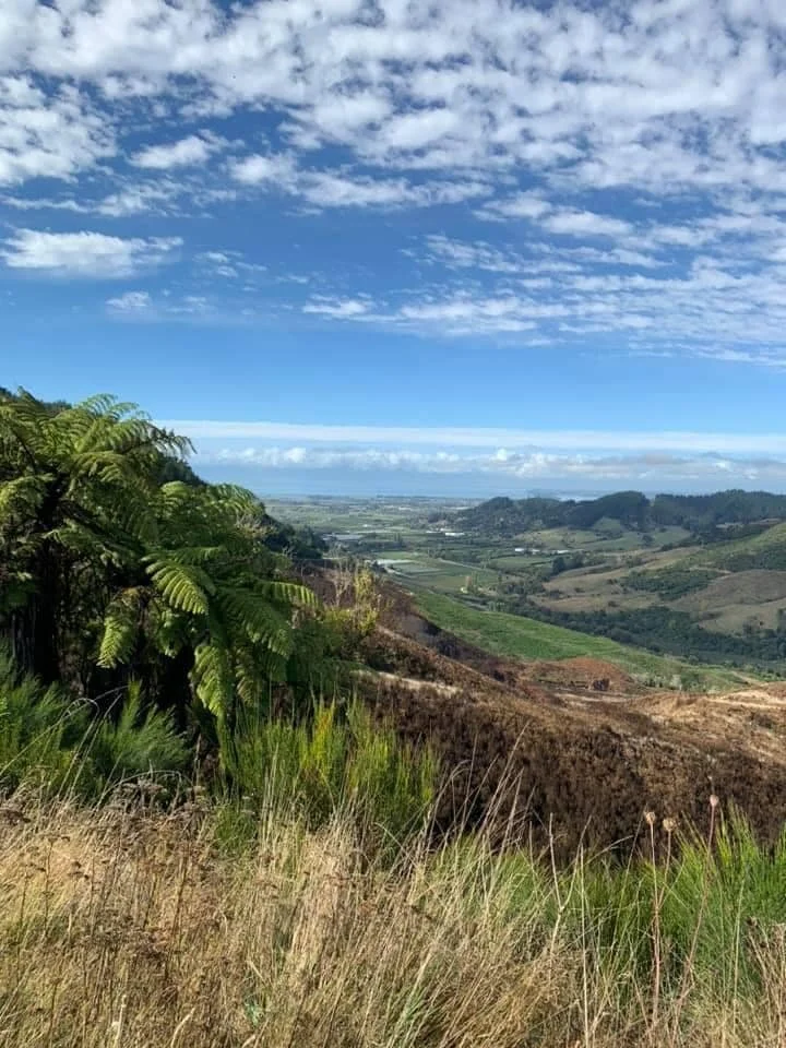 Takaka Hill.jpg