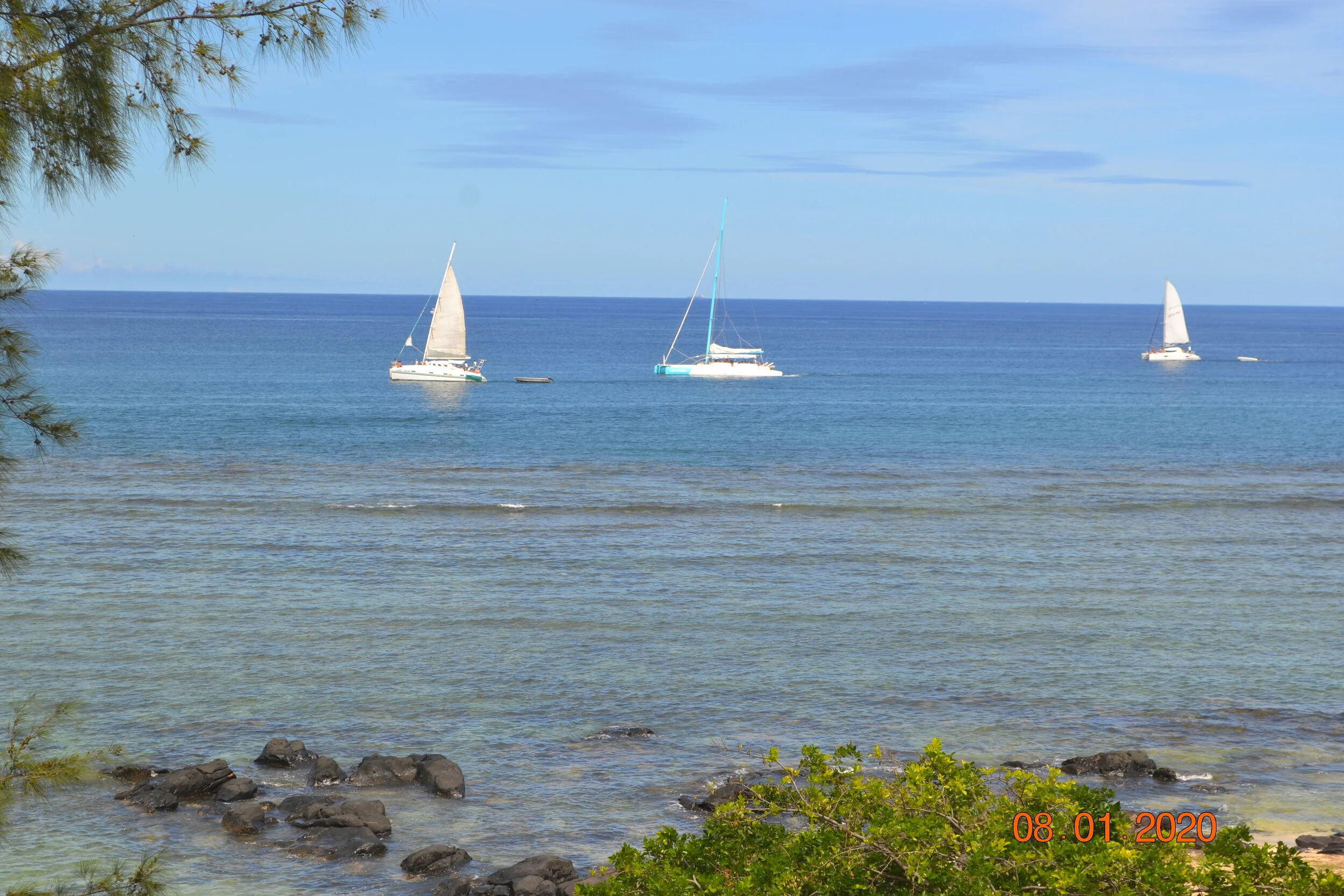 Mauritius is COVID - 19 Free