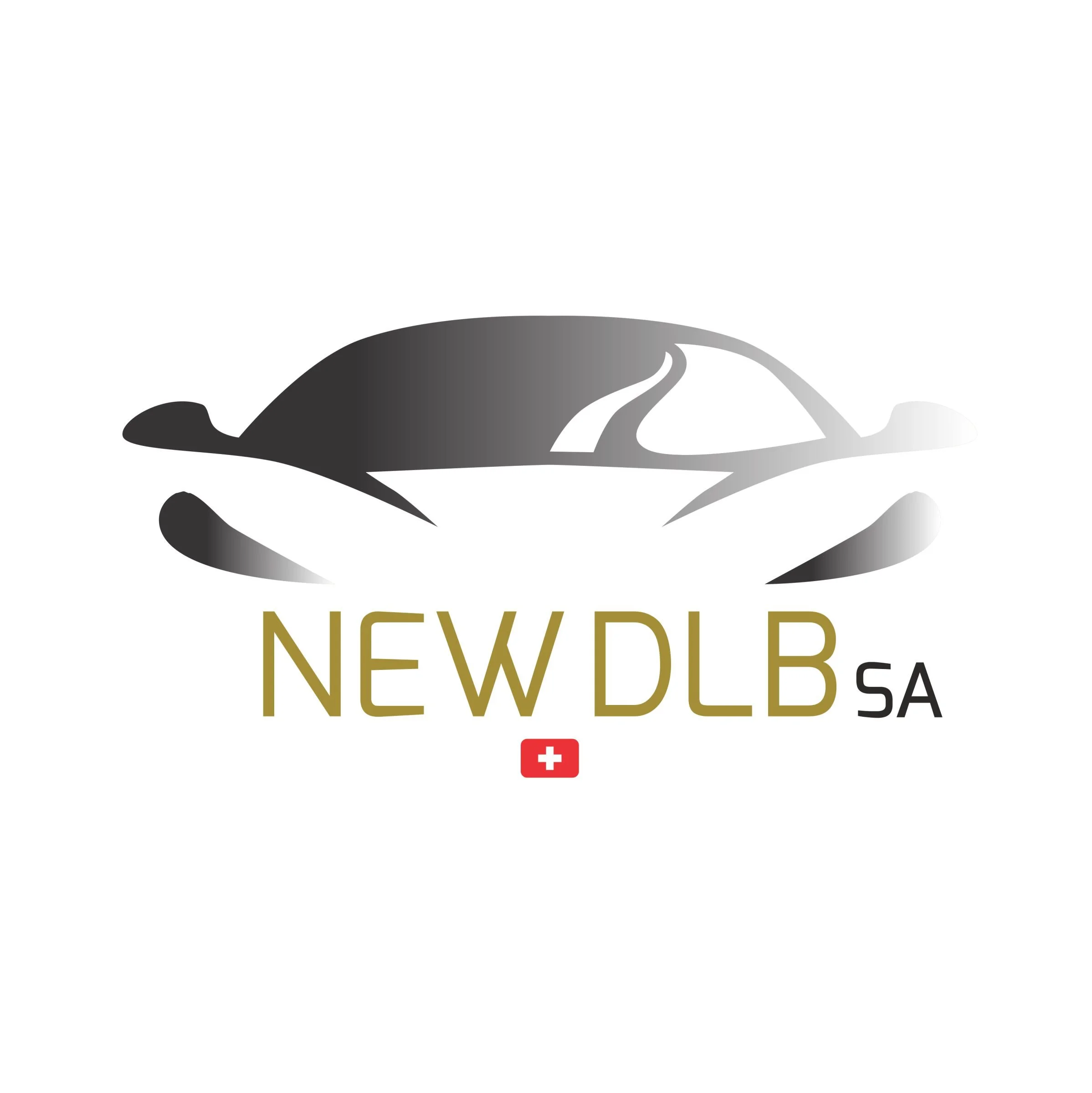 LOGHI x sito web - NEW DLP SA.jpg