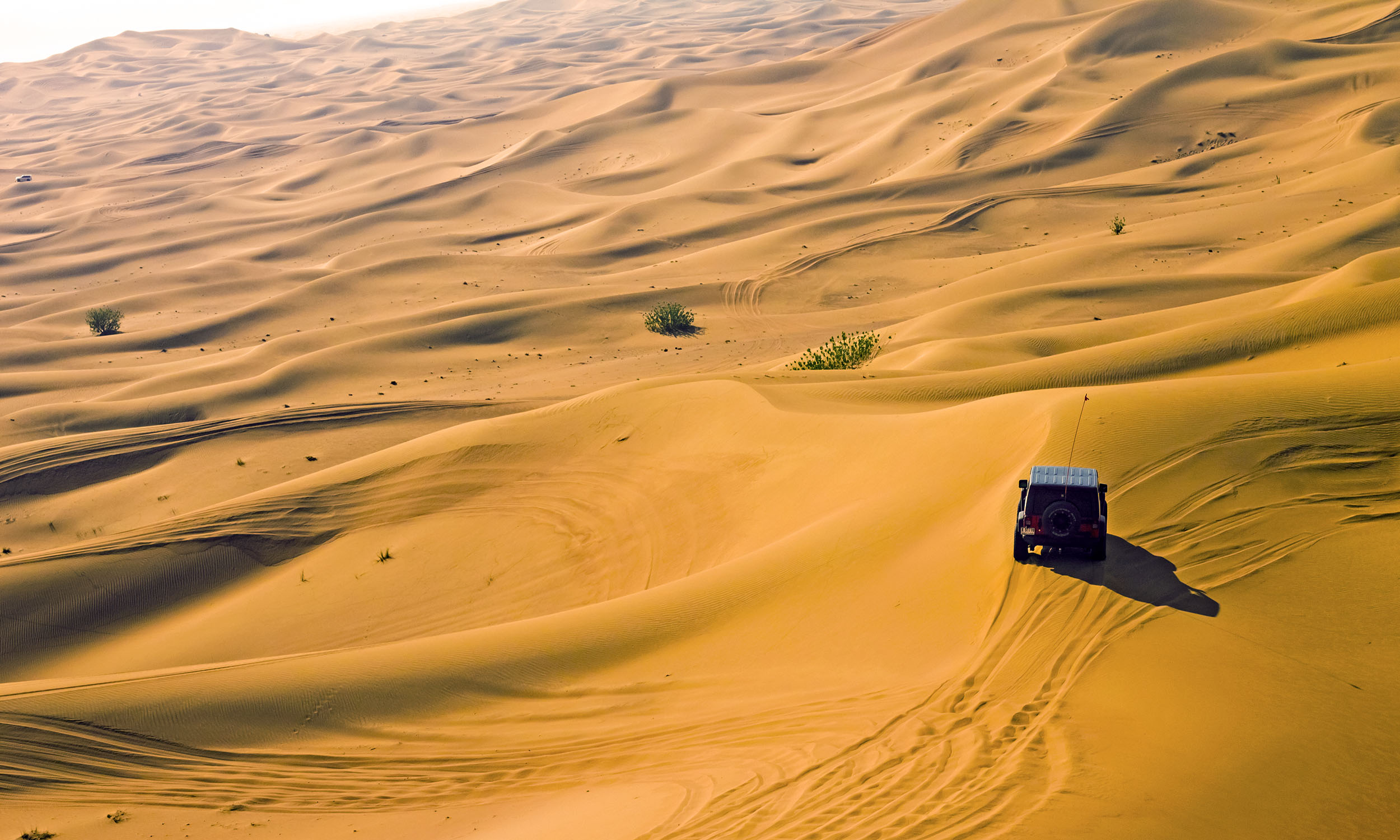 Dunes3_Website.jpg