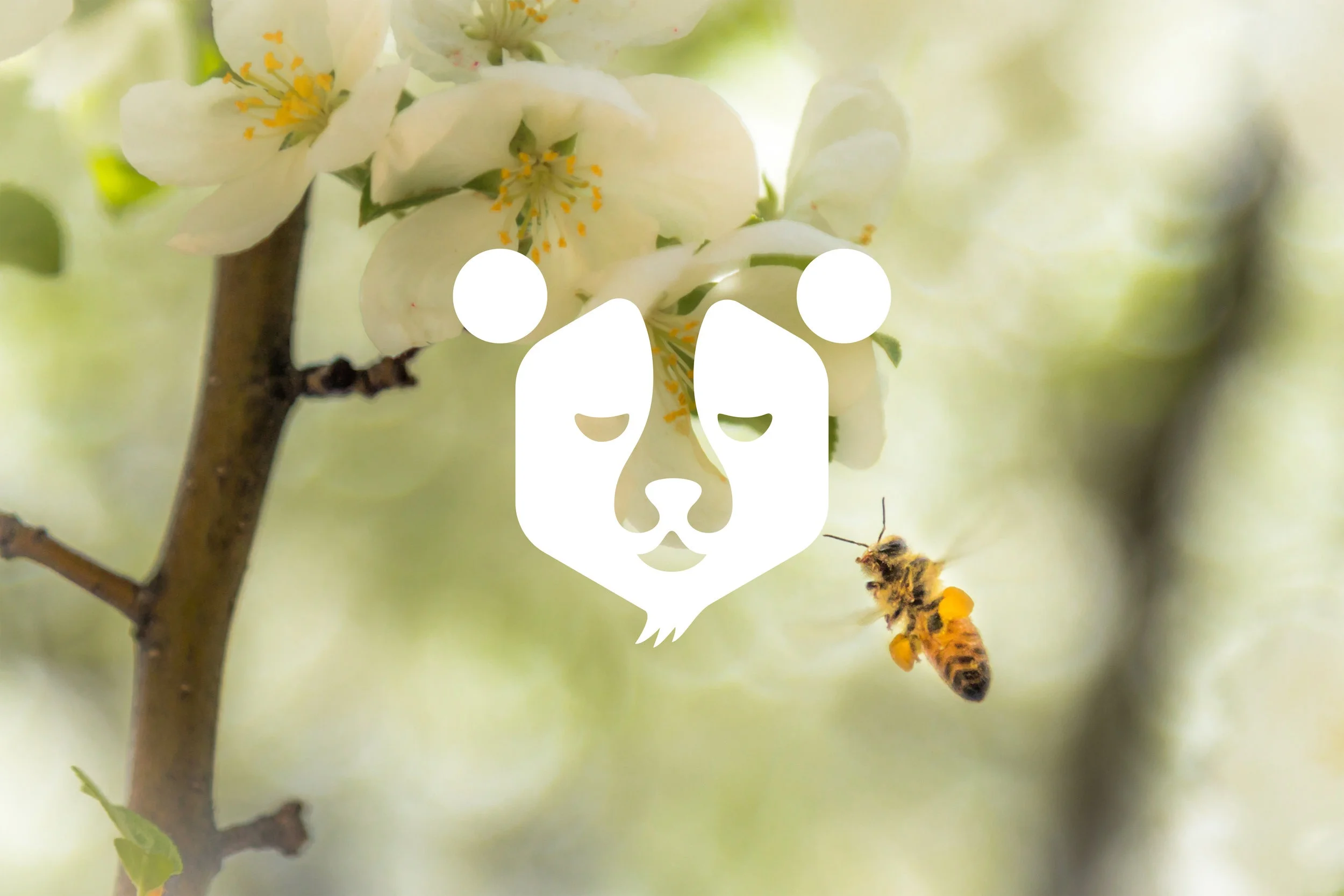 Marlobobos Megabear - Identitet