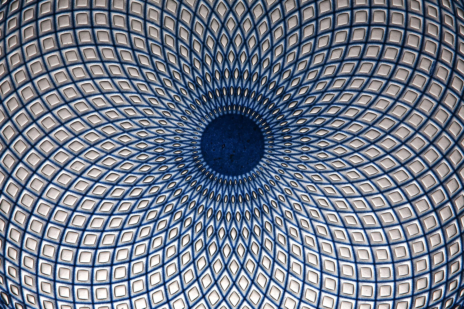 Jade_Tapson_Scale_David Williams.jpg