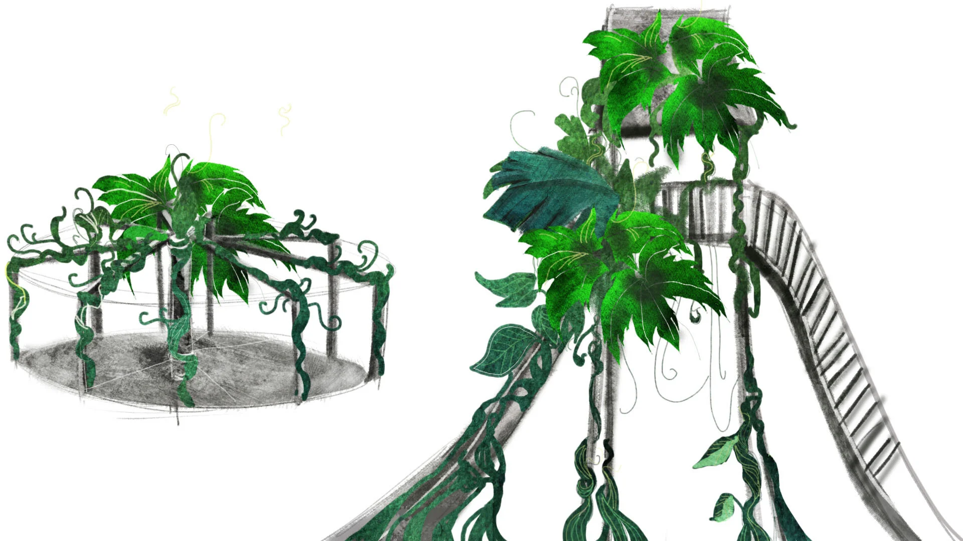 plagroundfoliage copy.jpg