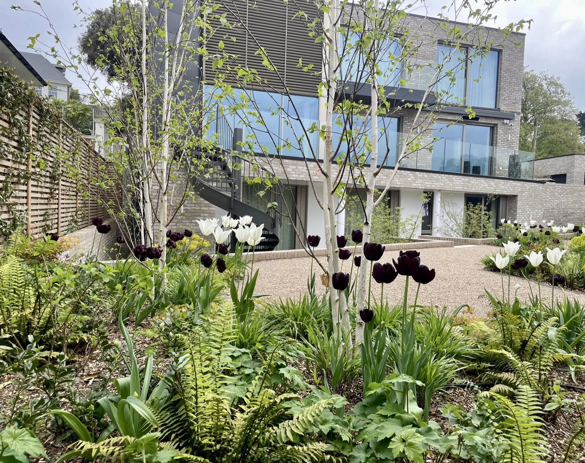 GS Tulip Back of house.jpeg