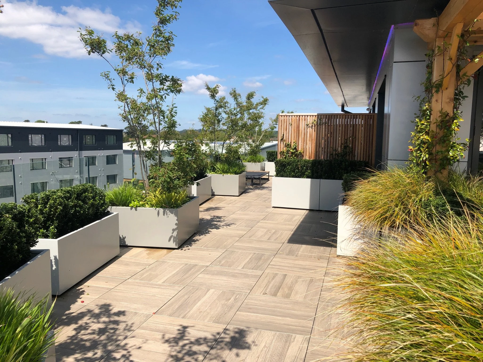 ST Roof terrace .jpeg