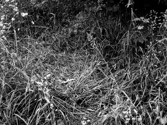 Vincennes, 2012