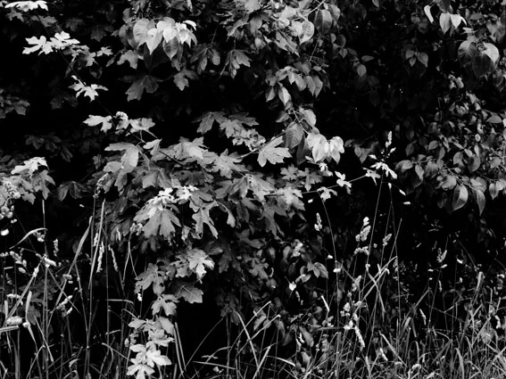 Vincennes, 2012