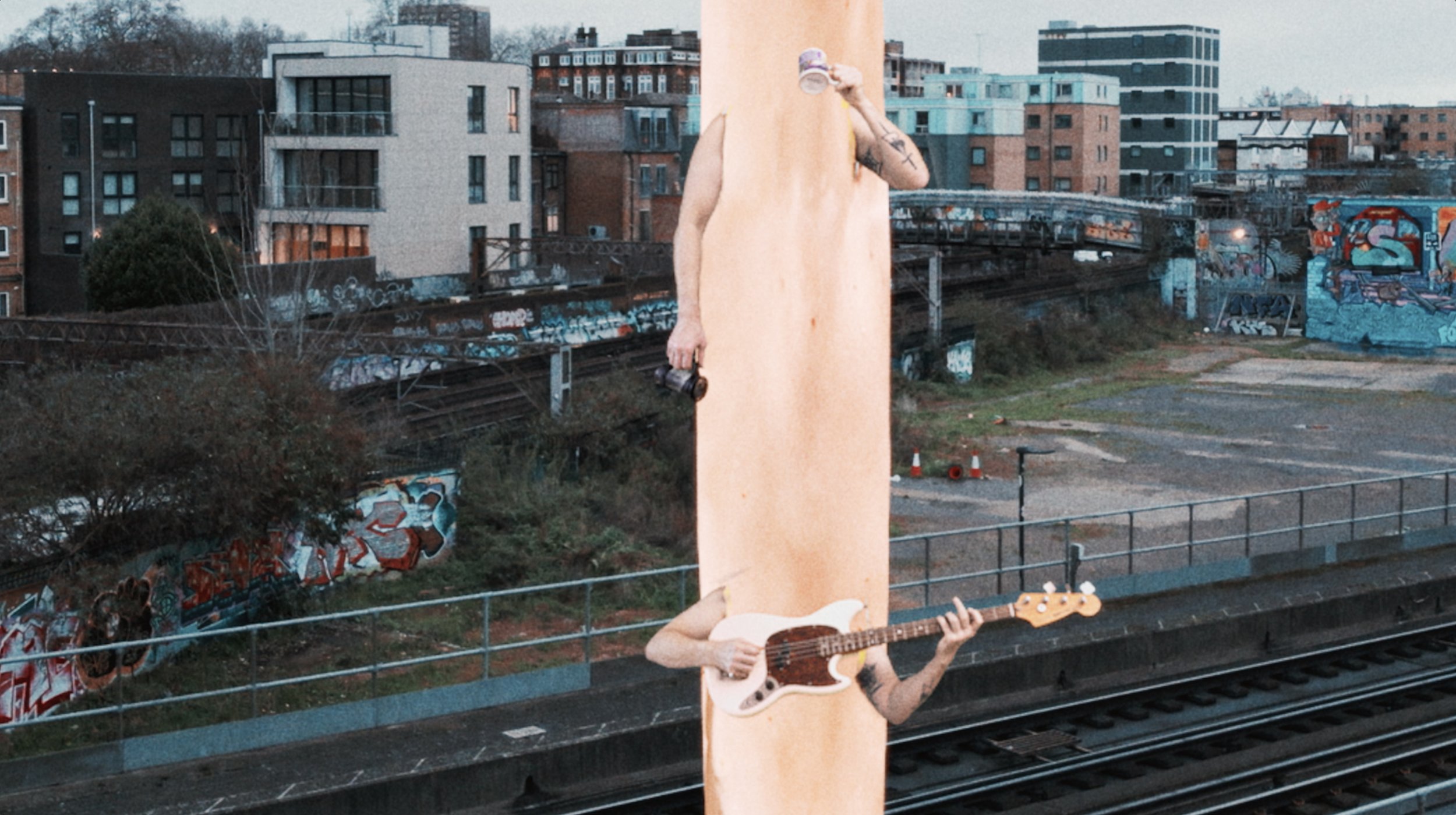 I am a God - Golden Toad