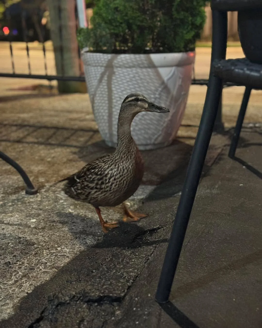 We closed at 10pm but this guy won&rsquo;t leave!