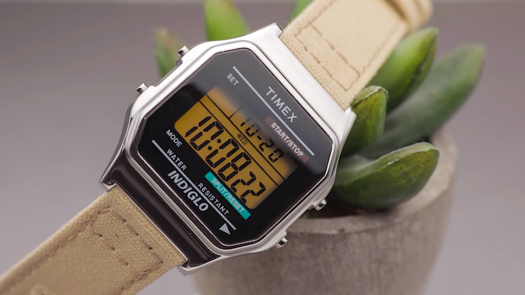 Timex T78587 Review - A Viable Casio Alternative? Timex T78587 vs Casio  A168 — Ben's Watch Club