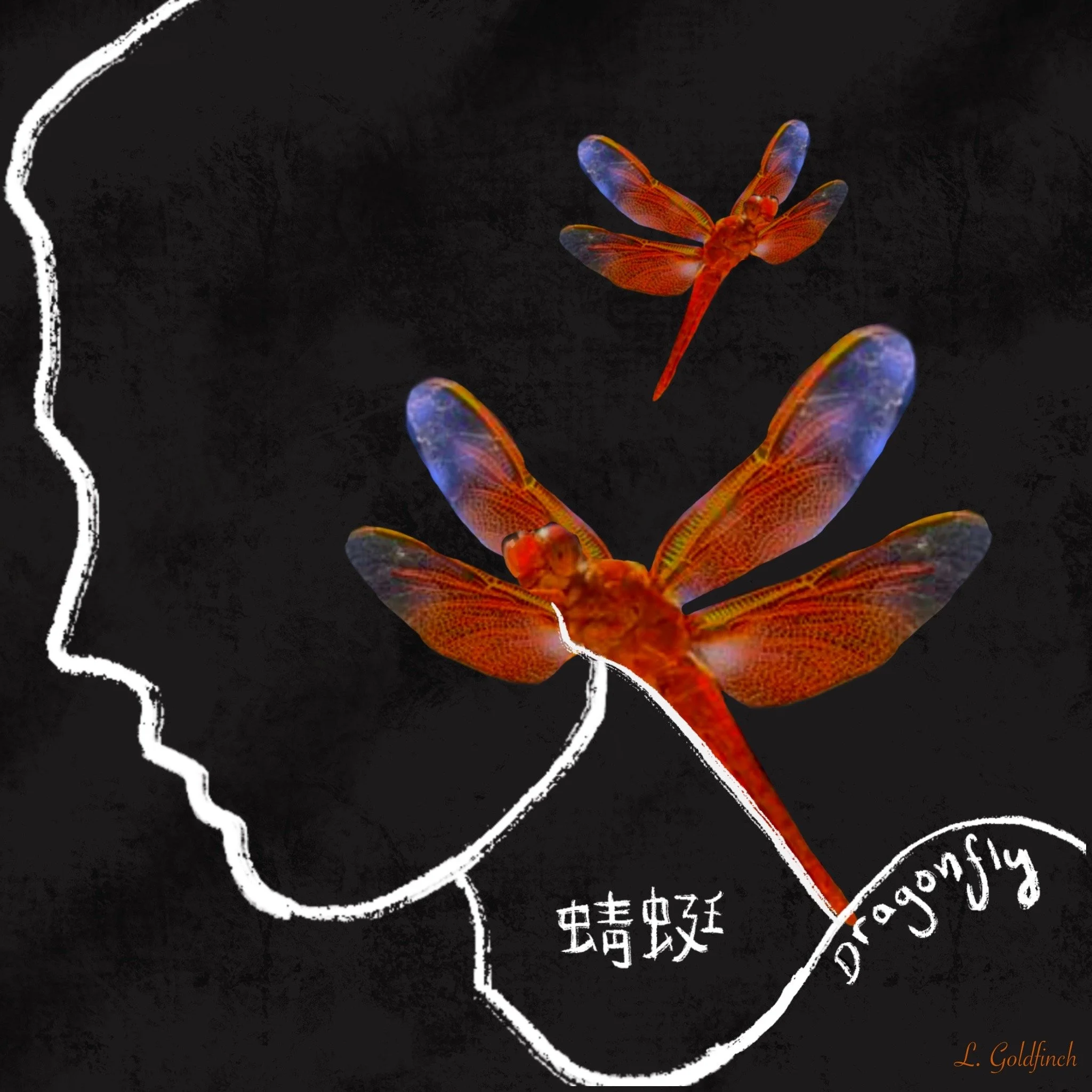 Untitled_Artwork.jpeg