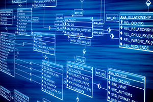 database management.png