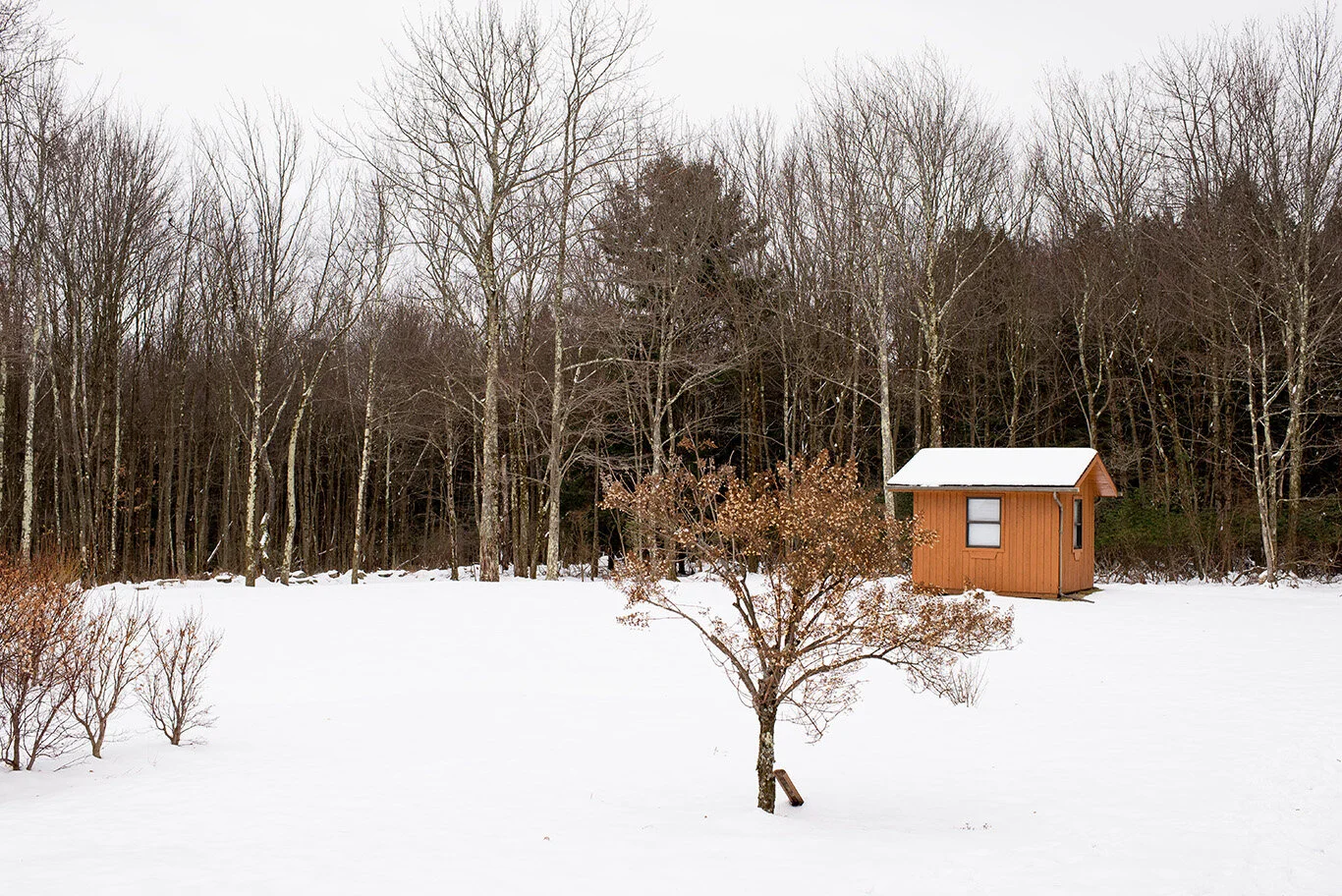 DSC_6506.jpg