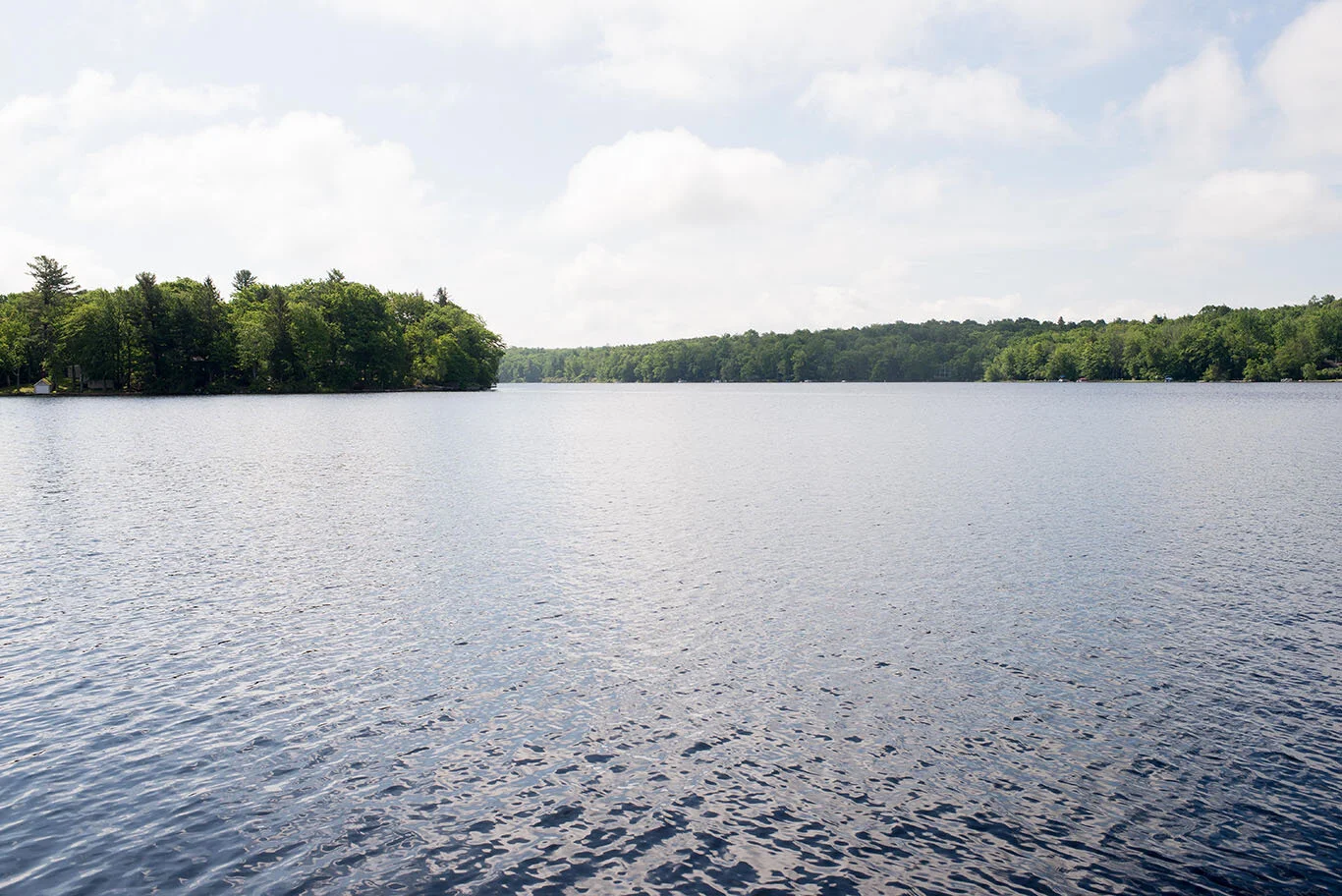 DSC_0535.jpg