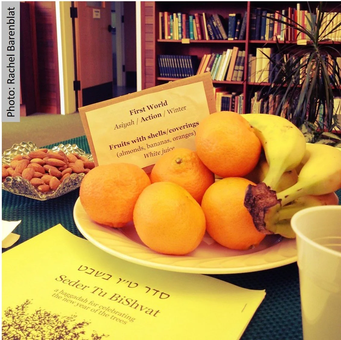 Seder Tu B’shvat, An Experience For The Senses | סדר ט"ו בשבט - חוויה רב חושית