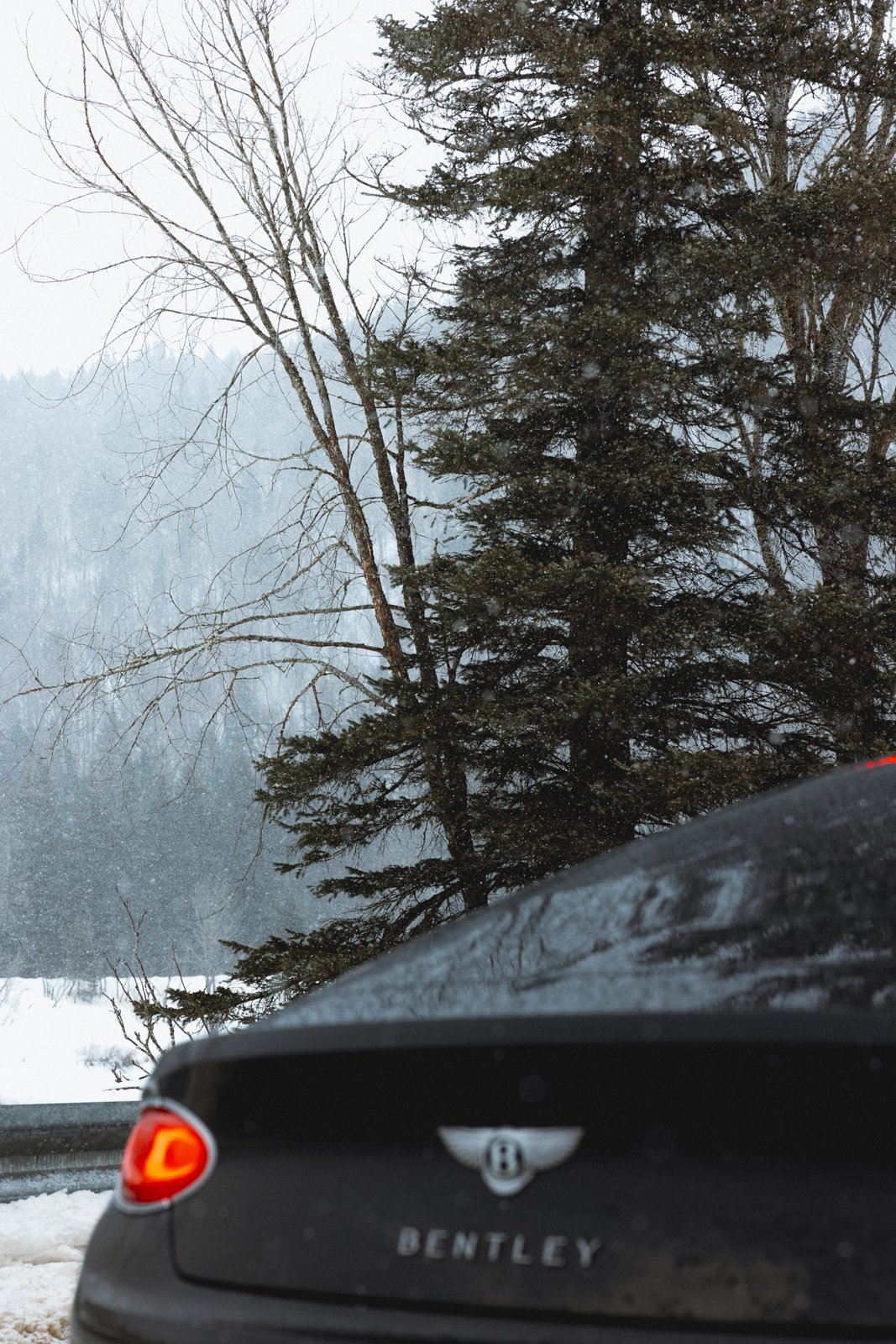 Vue de l'arrière d'une voiture Bentley noire stationnée près d'une route enneigée, avec des arbres d'hiver et un ciel nuageux en arrière-plan.