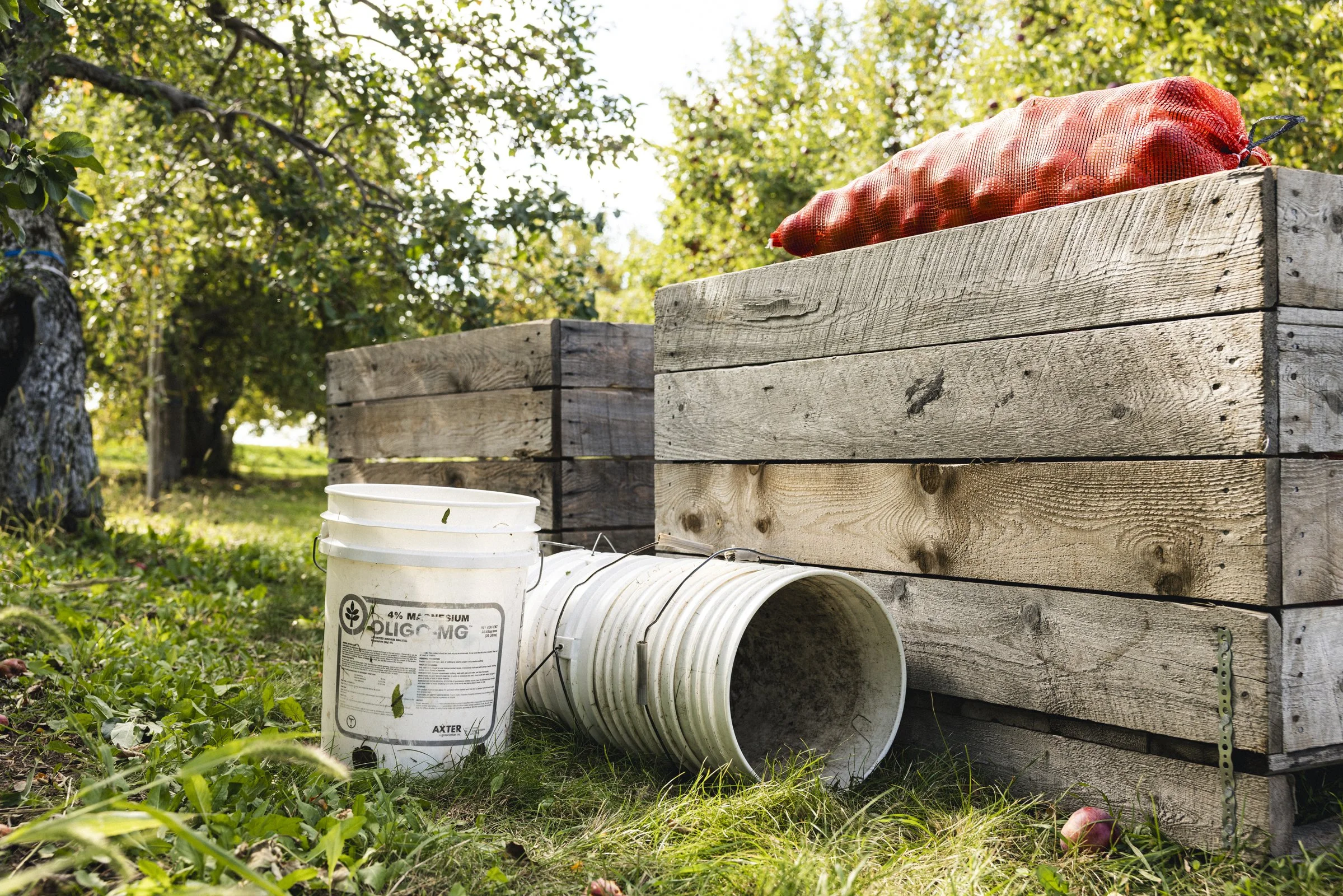 2025-09-28_VergerPommes- Karl-ErikBilodeau -5.jpg