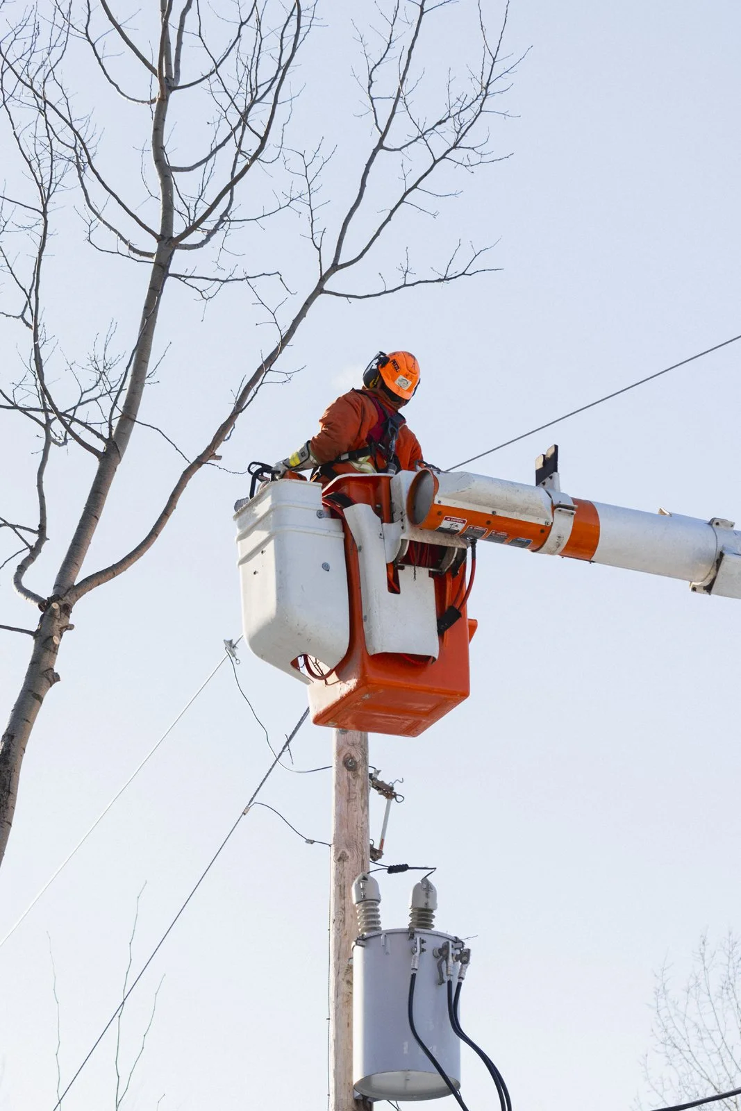 2026-02-03_VertLeFutur- Karl-ErikBilodeau -14.jpg