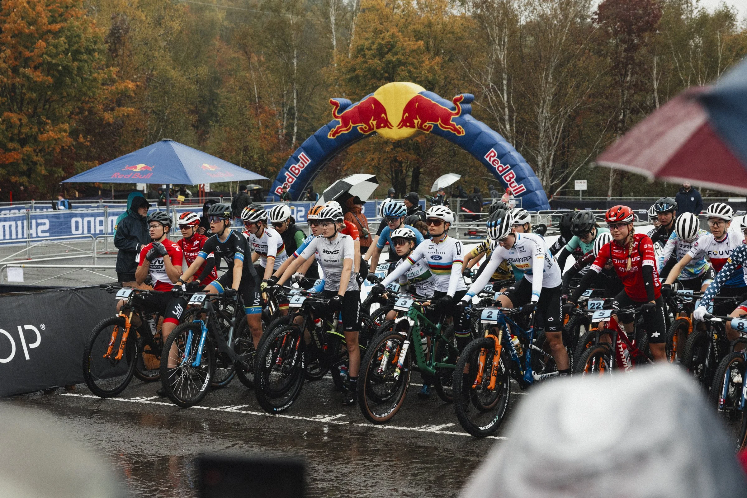 Photographie de vélo (copie) (copie)