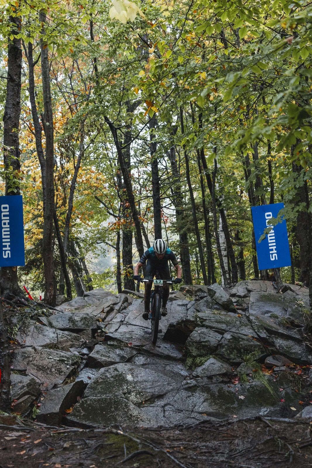 Photographie de vélo (copie) (copie)