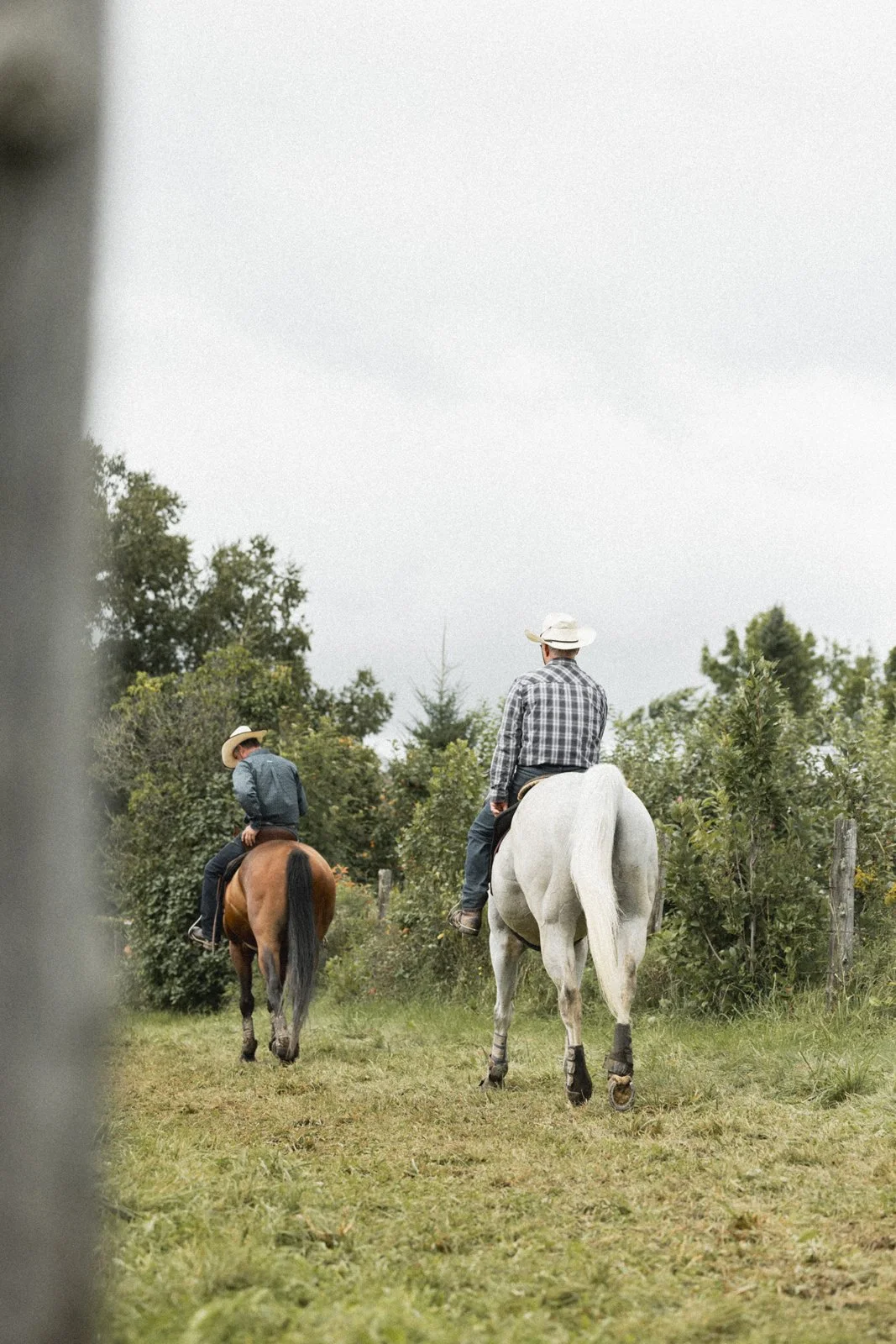 Gymkhana photo (copie) (copie)