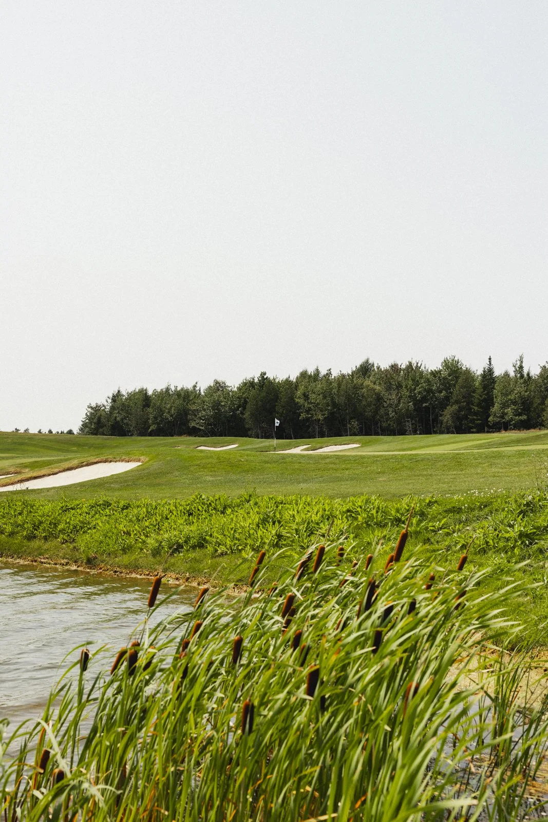 Photographie de golf (copie) (copie)