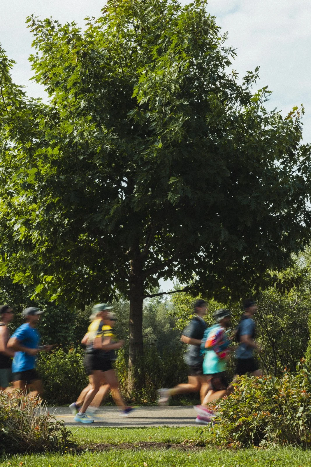 Photographie de Course - MDQ (copie) (copie)