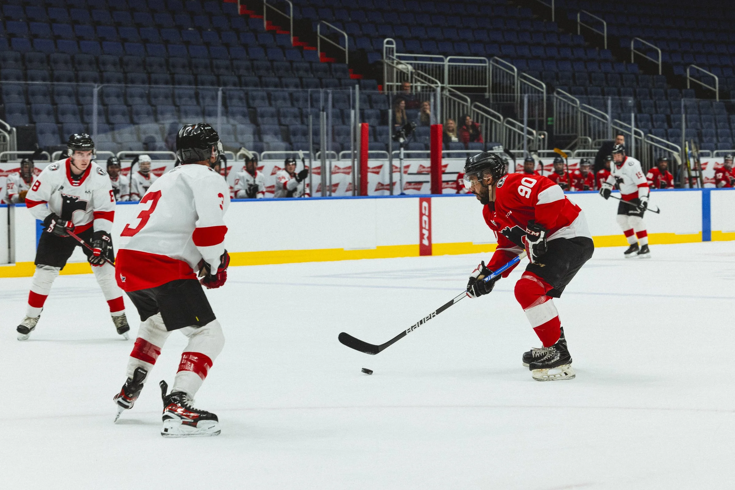 Photographie de hockey (copie) (copie)