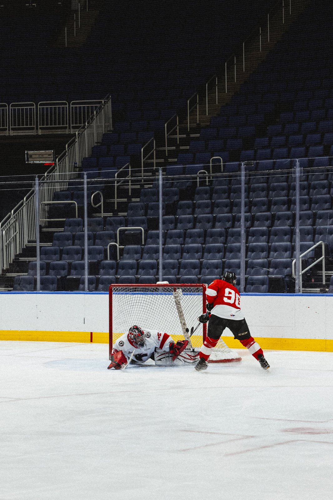 Photographie de hockey (copie) (copie)
