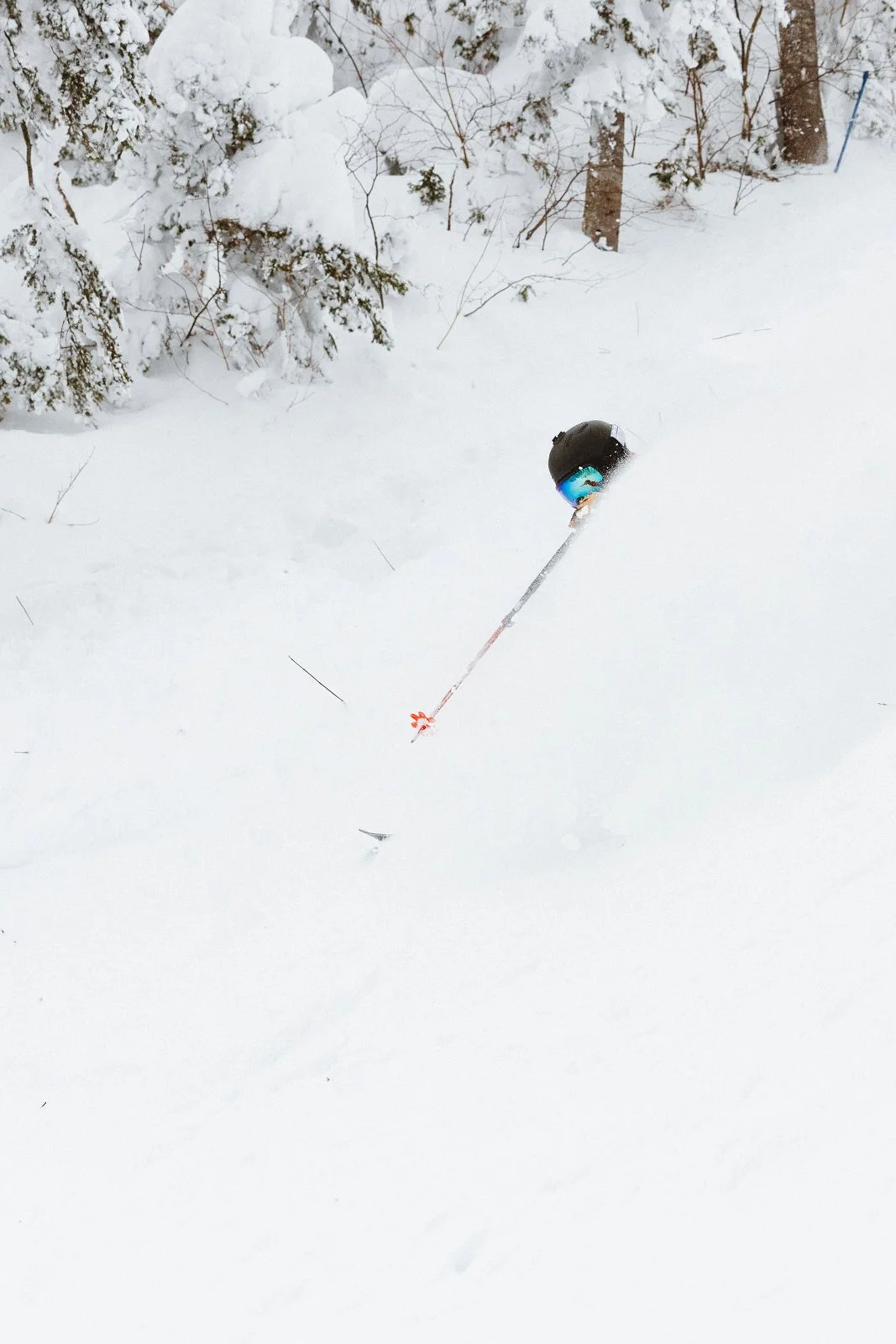2025-01-08_Estski_Val-Direne-114.jpg