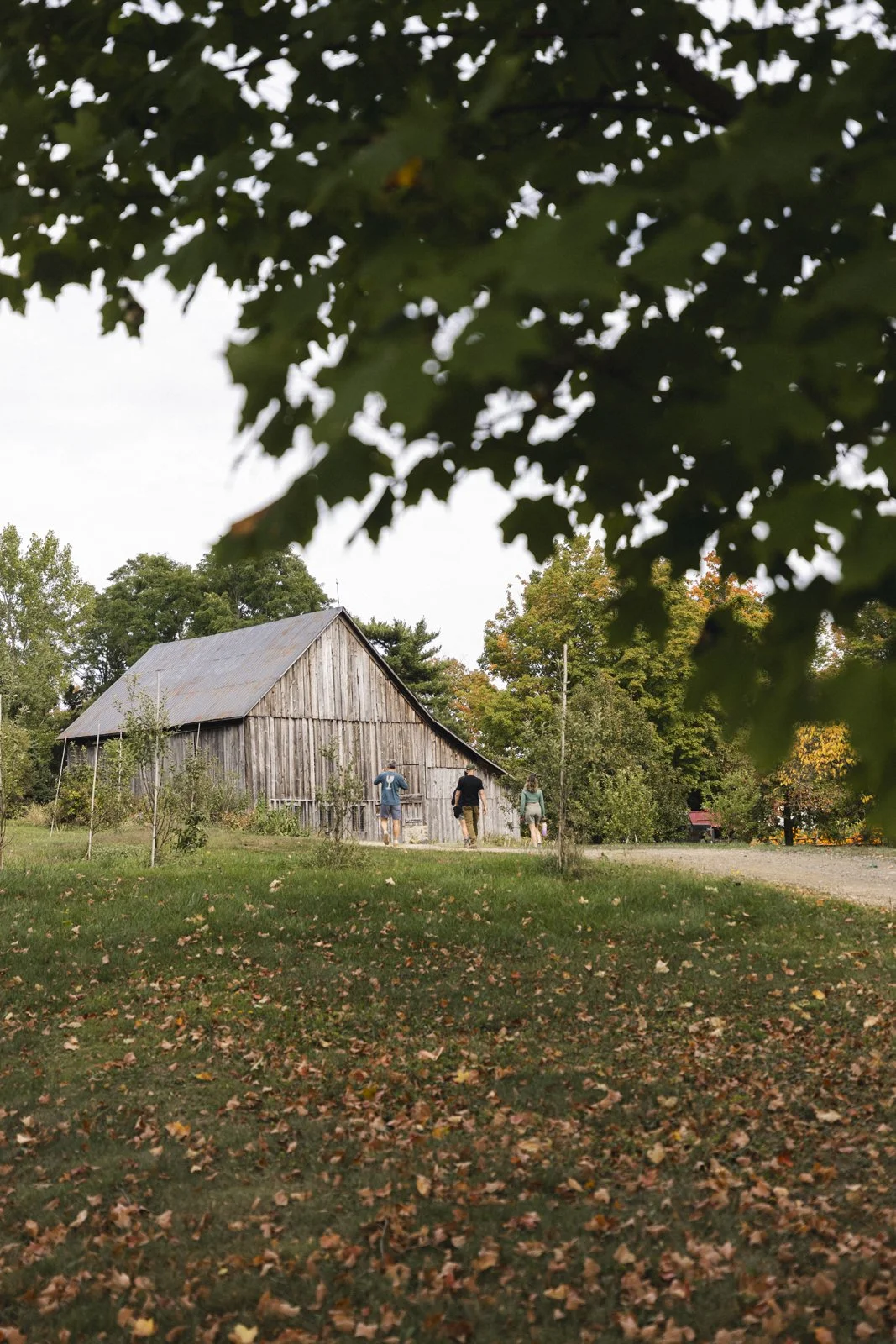 2025-09-22_VignobleArdennais- Karl-ErikBilodeau -68.jpg