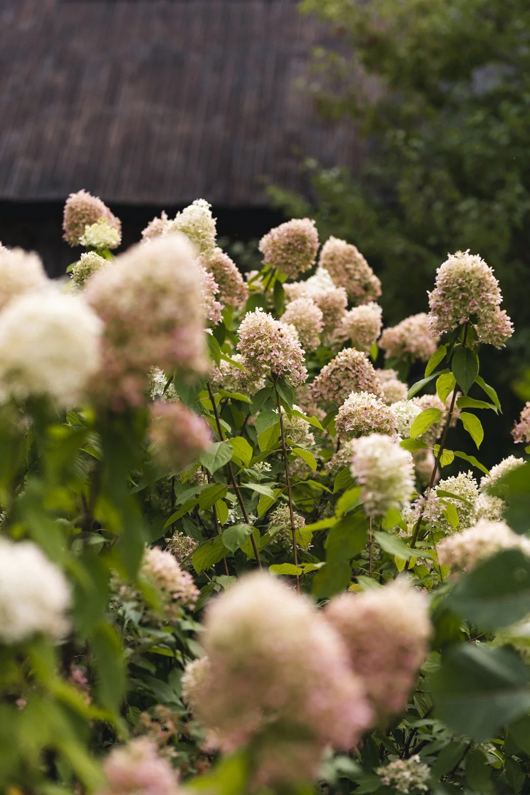 2025-09-22_VignobleArdennais- Karl-ErikBilodeau -88.jpg