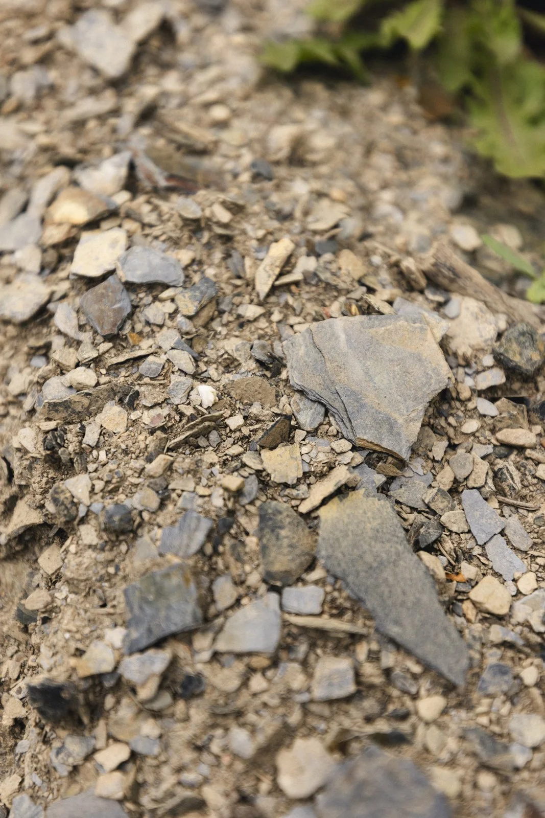 2025-09-22_VignobleArdennais- Karl-ErikBilodeau -106.jpg