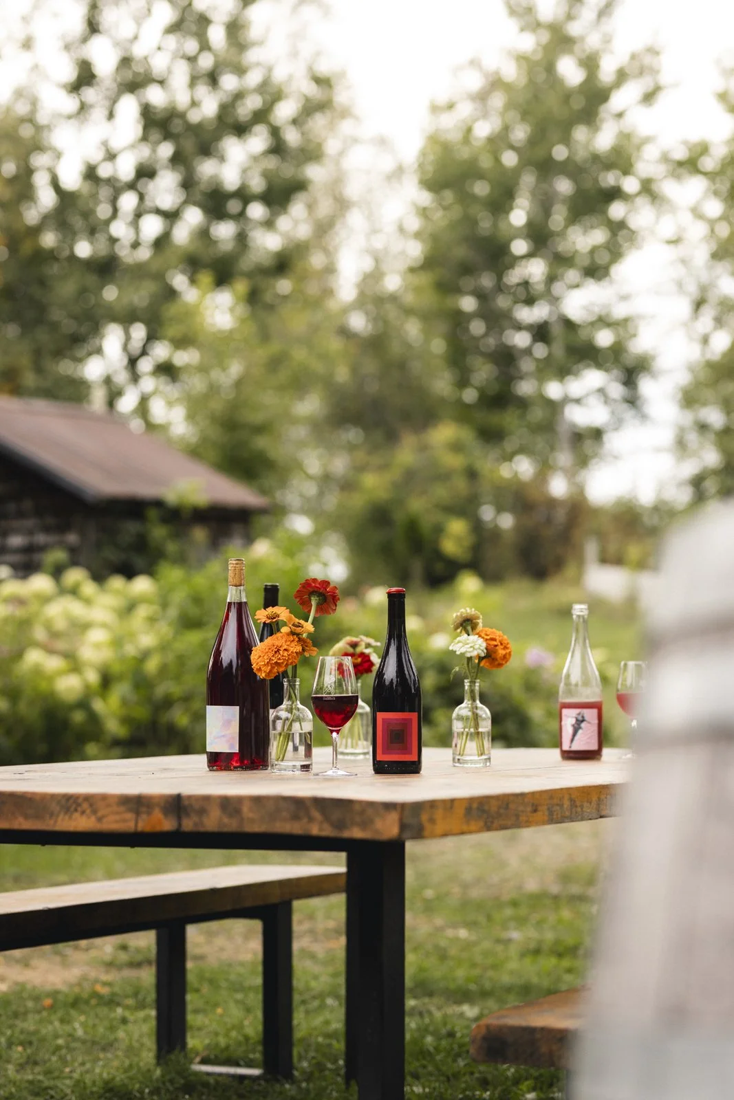 2025-09-22_VignobleArdennais- Karl-ErikBilodeau -123.jpg